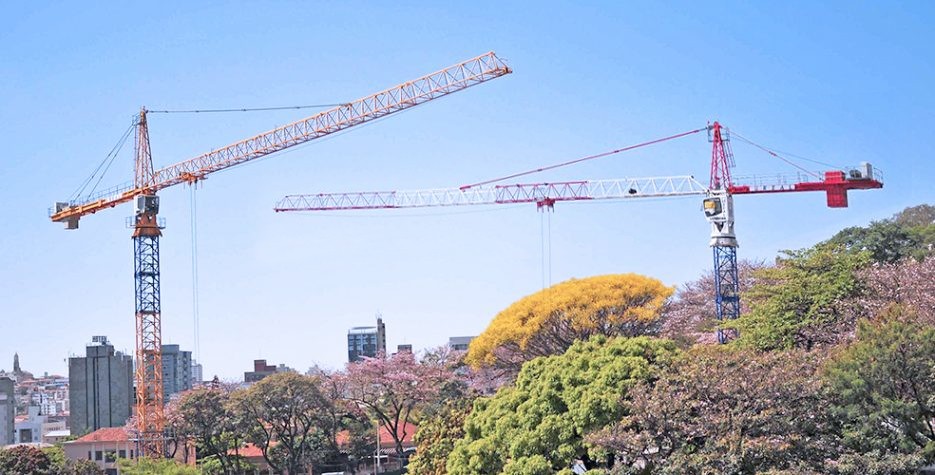Locação de gruas real guindastes em operação com árvores e cidade ao fundo