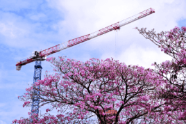 Gruas